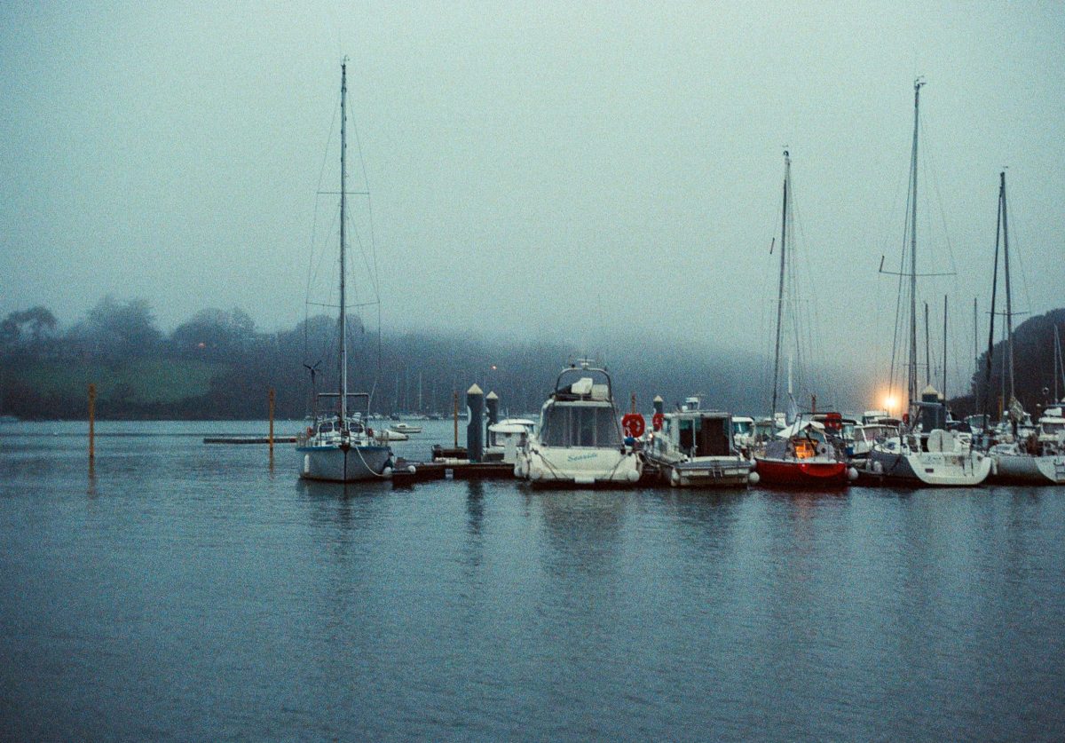 24964-002496410031.jpg
