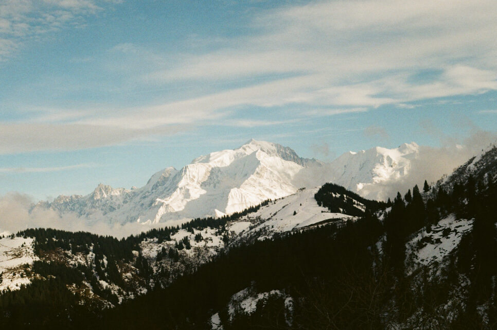 Description de la photo