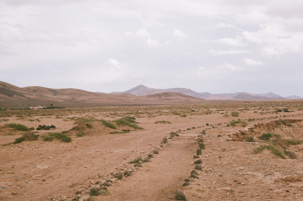 Description de la photo