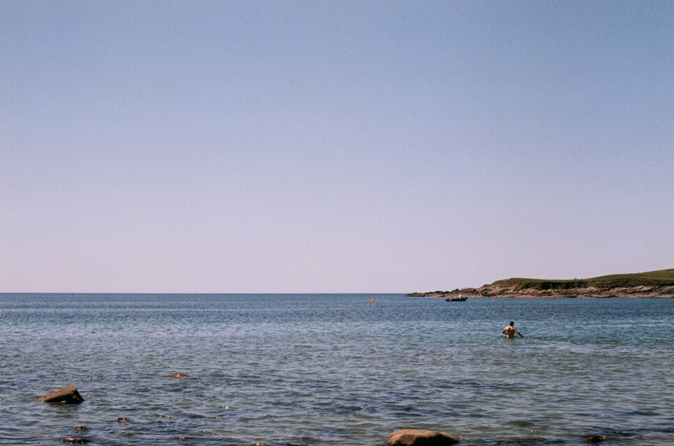 Description de la photo